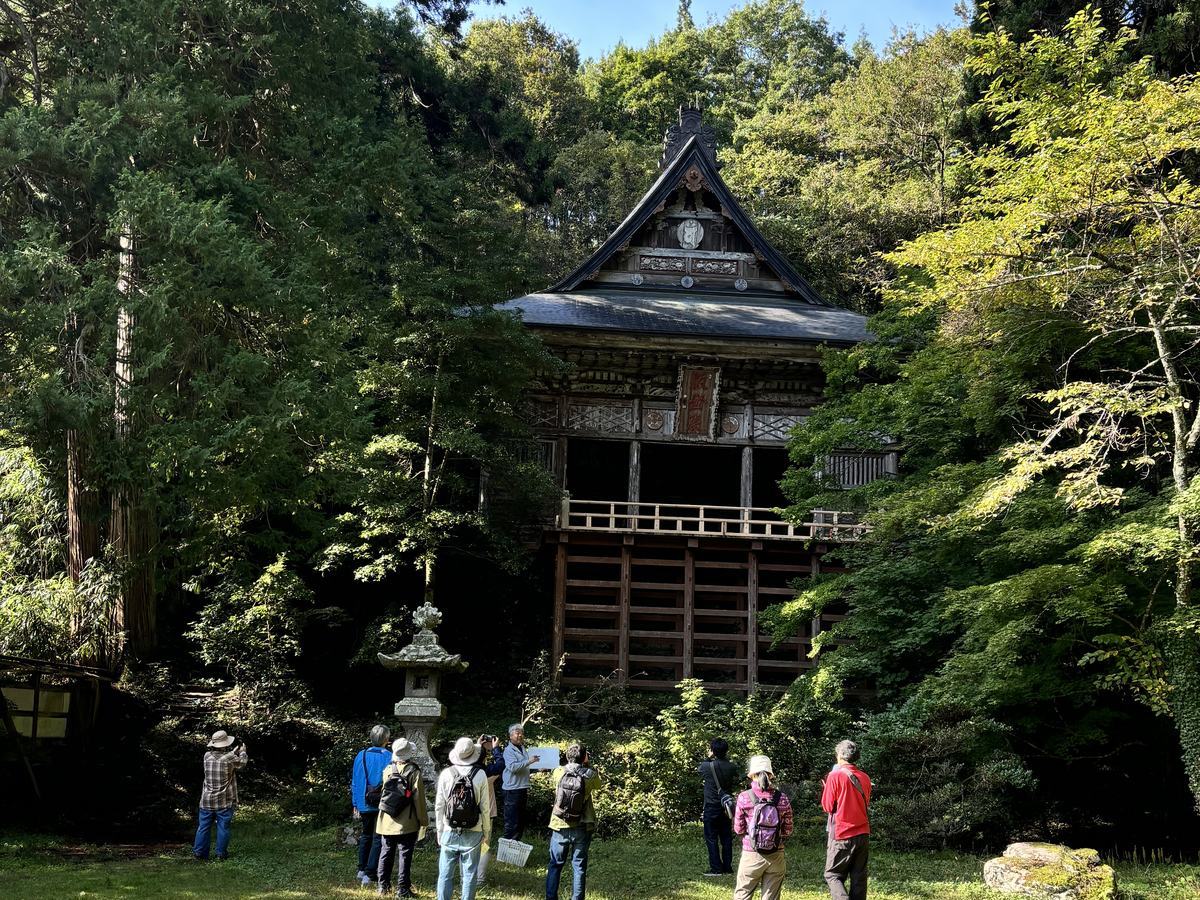 杉に囲まれた社殿を訪ねる観察会の一行